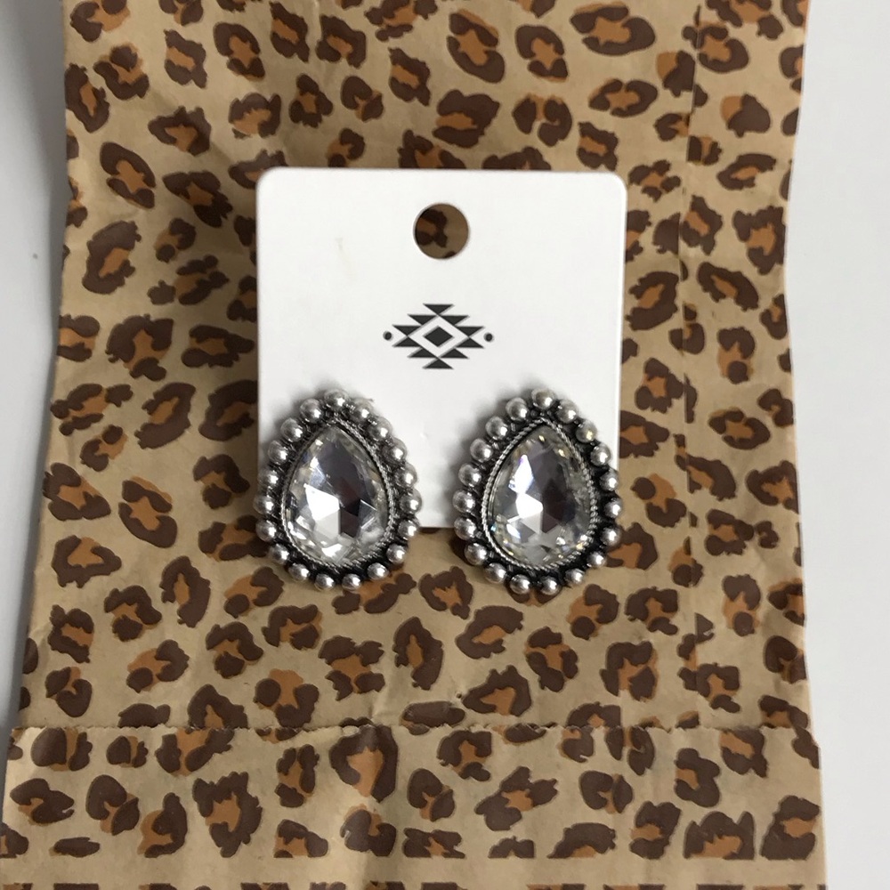Boutique Rhinestone Earrings